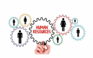 Immagine 2026 02 27 113401 768x500 (2) (1)